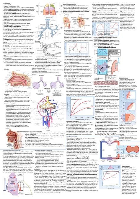 Chapter 8 The Digestive System Answers PDF Download. . Anatomy and physiology science olympiad cheat sheet pdf